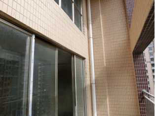 港澳港宝