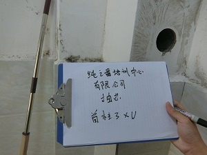 港澳港宝