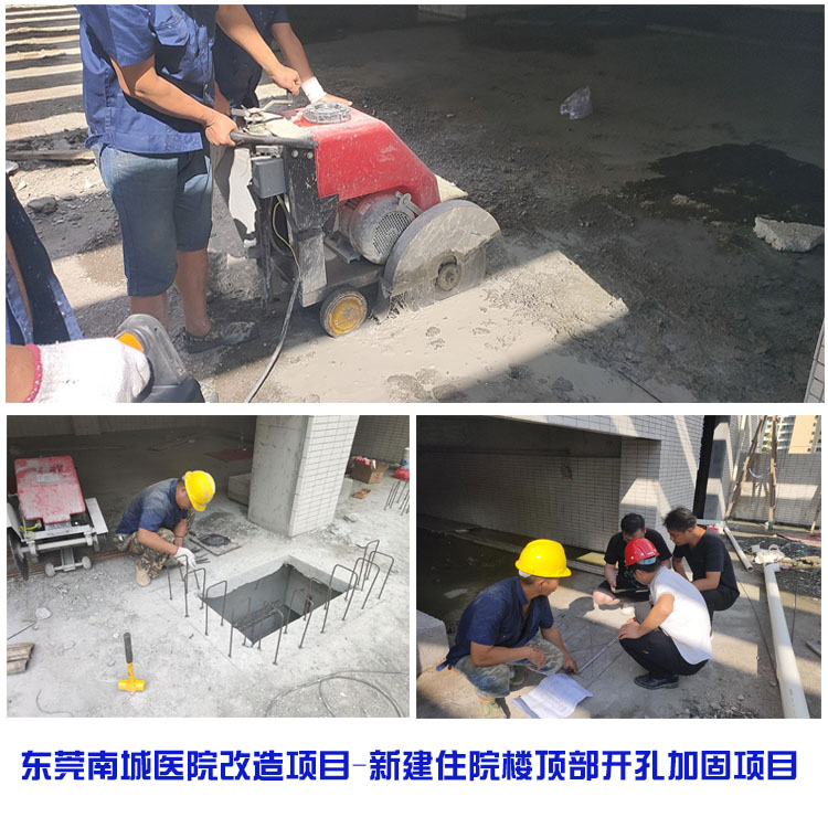 港澳港宝