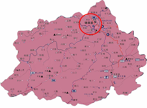 港澳港宝