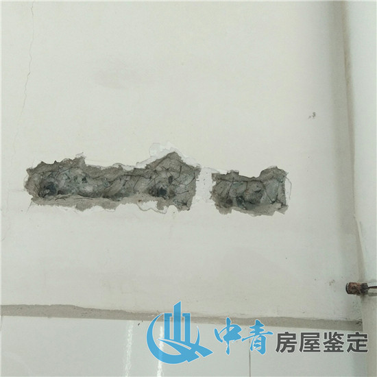 港澳港宝