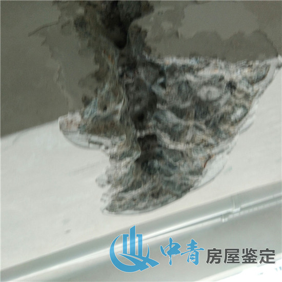 港澳港宝