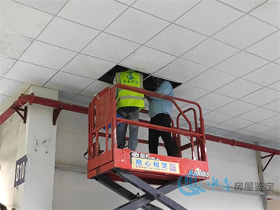港澳港宝