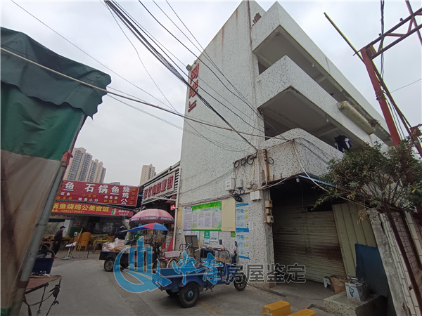 港澳港宝