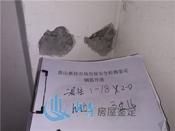 港澳港宝