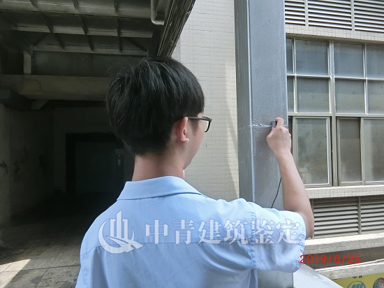 港澳港宝