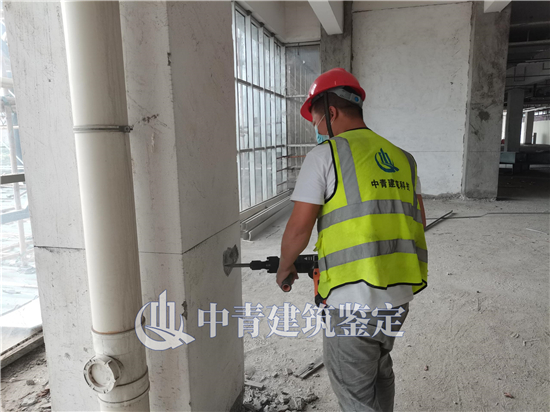 港澳港宝