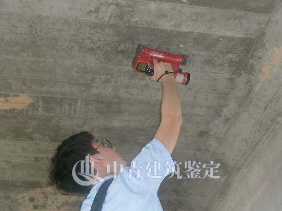 港澳港宝
