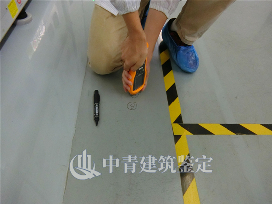 港澳港宝