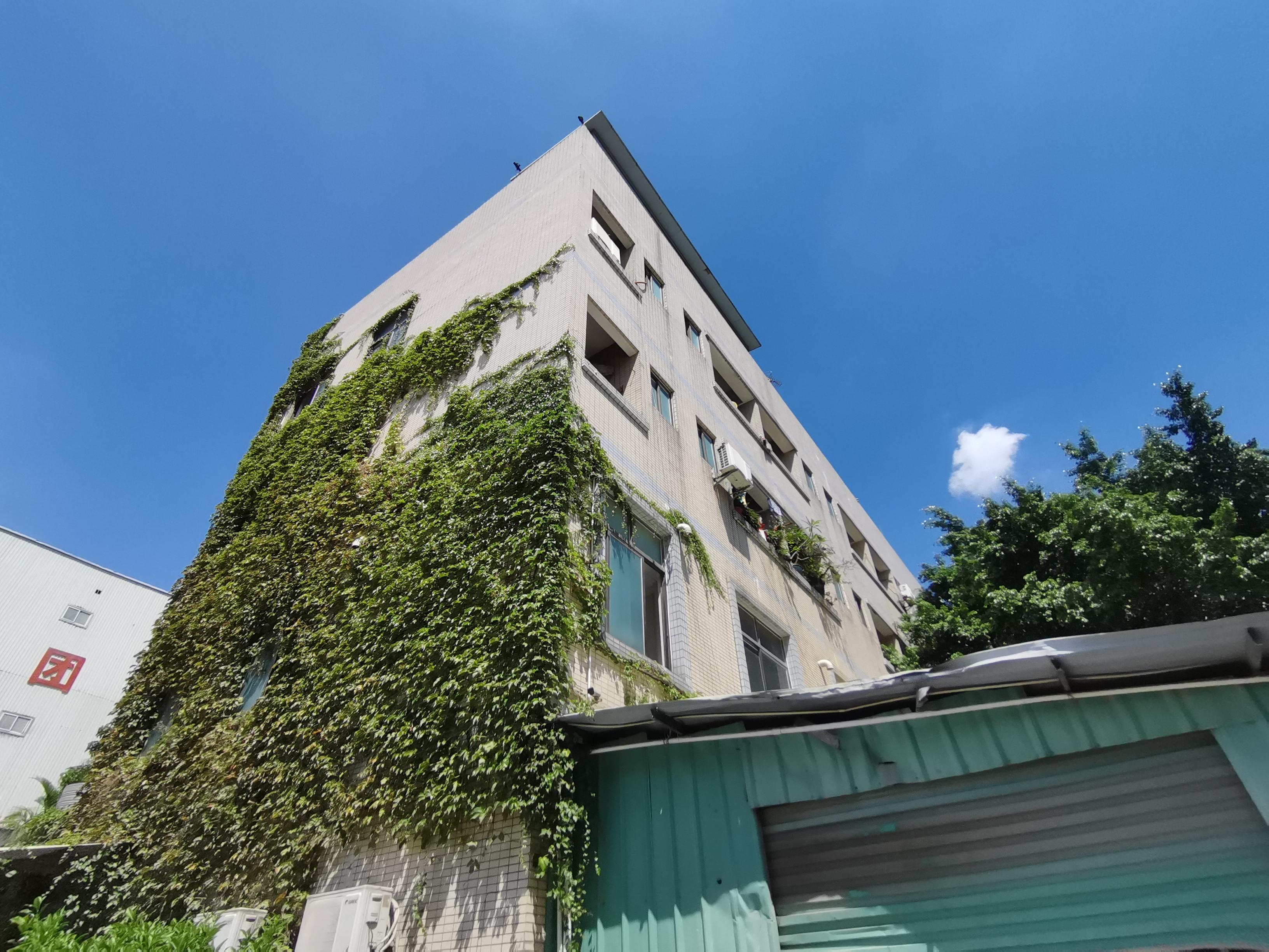 港澳港宝