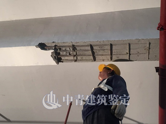 港澳港宝