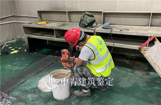 港澳港宝